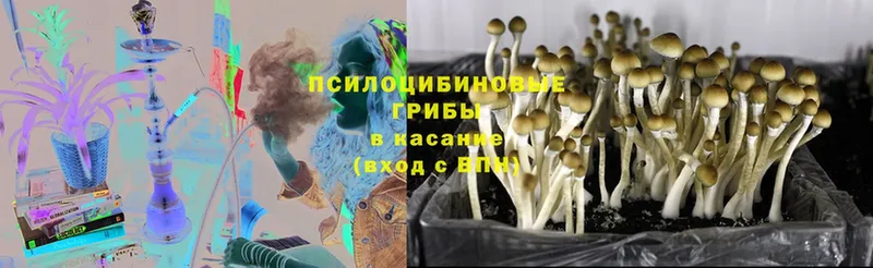 Галлюциногенные грибы Magic Shrooms  Анива 